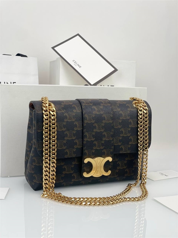 Сумка CELINE 123153 - фото 172959