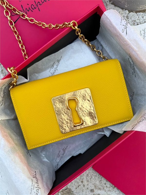 Сумка Schiaparelli 159869 - фото 370993