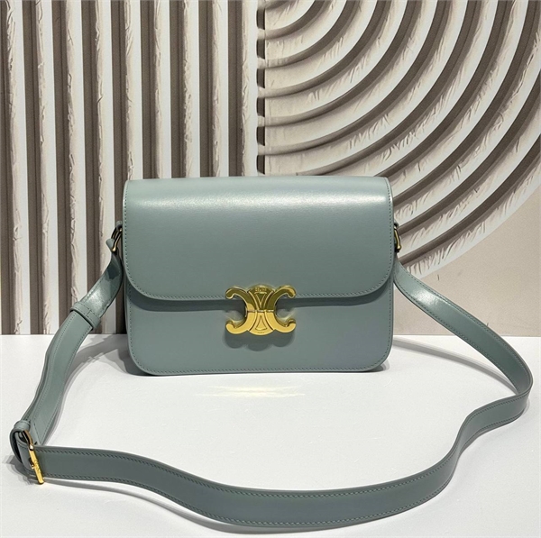 Сумка CELINE 161639 - фото 381366