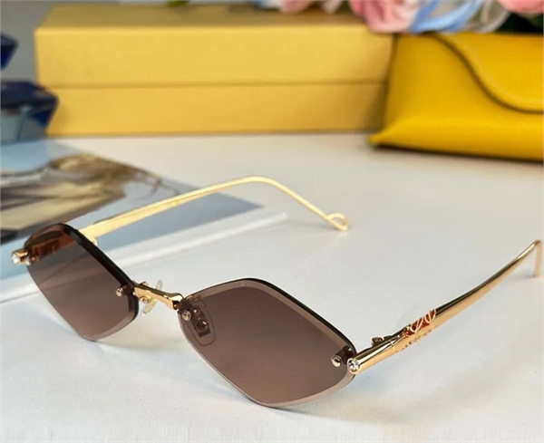 Очки LOEWE 162624