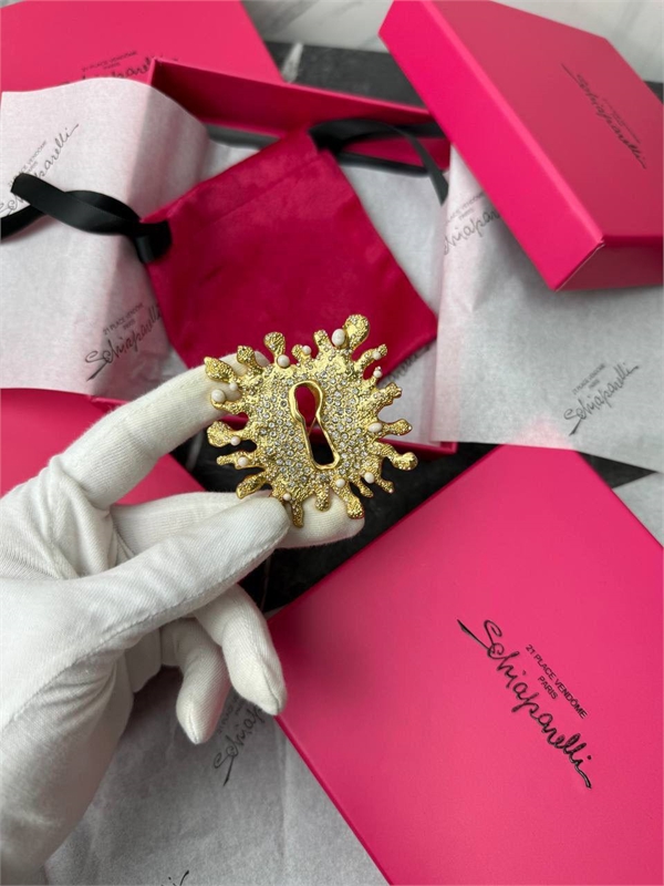 Брошь Schiaparelli 162852 - фото 388550