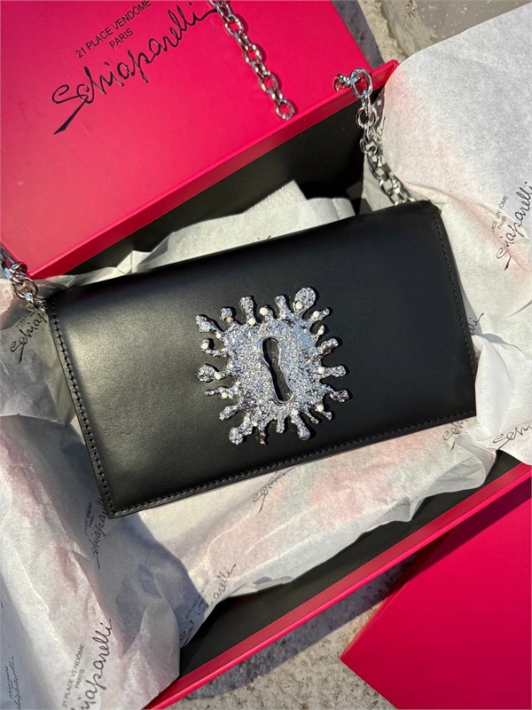 Сумка Schiaparelli 162858