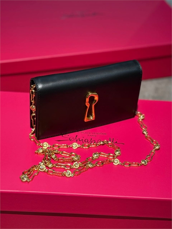 Сумка Schiaparelli 163577