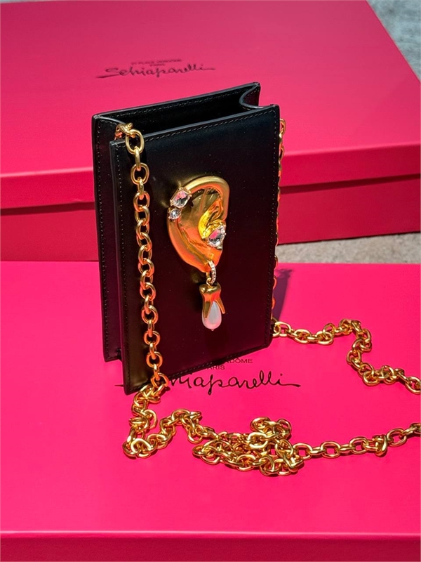 Сумка Schiaparelli 163581