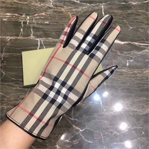 {{productViewItem.photos[photoViewList.activeNavIndex].Alt || productViewItem.photos[photoViewList.activeNavIndex].Description || 'Перчатки BURBERRY'}}