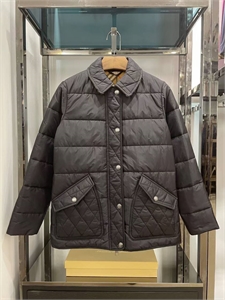 {{productViewItem.photos[photoViewList.activeNavIndex].Alt || productViewItem.photos[photoViewList.activeNavIndex].Description || 'Пуховик BURBERRY'}}