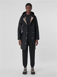 {{productViewItem.photos[photoViewList.activeNavIndex].Alt || productViewItem.photos[photoViewList.activeNavIndex].Description || 'Плащ BURBERRY'}}