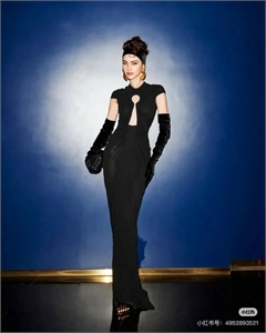 {{productViewItem.photos[photoViewList.activeNavIndex].Alt || productViewItem.photos[photoViewList.activeNavIndex].Description || 'Платье Schiaparelli'}}