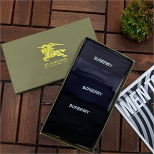 {{productViewItem.photos[photoViewList.activeNavIndex].Alt || productViewItem.photos[photoViewList.activeNavIndex].Description || 'Нижнее бельё BURBERRY'}}