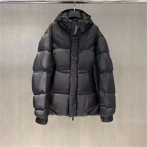 {{productViewItem.photos[photoViewList.activeNavIndex].Alt || productViewItem.photos[photoViewList.activeNavIndex].Description || 'Куртка пуховик MONCLER'}}