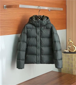 {{productViewItem.photos[photoViewList.activeNavIndex].Alt || productViewItem.photos[photoViewList.activeNavIndex].Description || 'Куртка пуховик MONCLER'}}