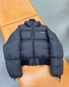 {{productViewItem.photos[photoViewList.activeNavIndex].Alt || productViewItem.photos[photoViewList.activeNavIndex].Description || 'Пуховик CELINE'}}