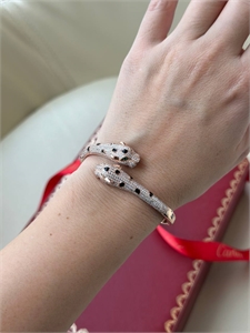 {{productViewItem.photos[photoViewList.activeNavIndex].Alt || productViewItem.photos[photoViewList.activeNavIndex].Description || 'Браслет CARTIER Серебро 925 п'}}