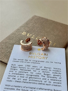 {{productViewItem.photos[photoViewList.activeNavIndex].Alt || productViewItem.photos[photoViewList.activeNavIndex].Description || 'Серьги BVLGARI'}}