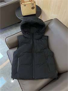 {{productViewItem.photos[photoViewList.activeNavIndex].Alt || productViewItem.photos[photoViewList.activeNavIndex].Description || 'Жилет BRUNELLO CUCINELLI'}}