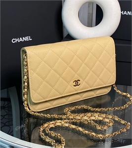 Сумка CHANEL 163312