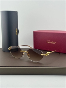{{productViewItem.photos[photoViewList.activeNavIndex].Alt || productViewItem.photos[photoViewList.activeNavIndex].Description || 'Очки CARTIER'}}