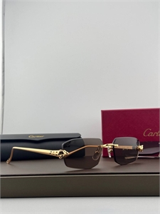 Очки CARTIER 180471