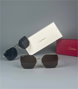 {{productViewItem.photos[photoViewList.activeNavIndex].Alt || productViewItem.photos[photoViewList.activeNavIndex].Description || 'Очки Cartier'}}