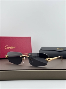 {{productViewItem.photos[photoViewList.activeNavIndex].Alt || productViewItem.photos[photoViewList.activeNavIndex].Description || 'Очки CARTIER'}}