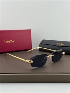 {{productViewItem.photos[photoViewList.activeNavIndex].Alt || productViewItem.photos[photoViewList.activeNavIndex].Description || 'Очки CARTIER'}}