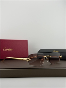 {{productViewItem.photos[photoViewList.activeNavIndex].Alt || productViewItem.photos[photoViewList.activeNavIndex].Description || 'Очки CARTIER'}}