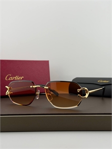 {{productViewItem.photos[photoViewList.activeNavIndex].Alt || productViewItem.photos[photoViewList.activeNavIndex].Description || 'Очки CARTIER'}}