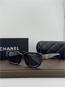 {{productViewItem.photos[photoViewList.activeNavIndex].Alt || productViewItem.photos[photoViewList.activeNavIndex].Description || 'Очки CHANEL'}}