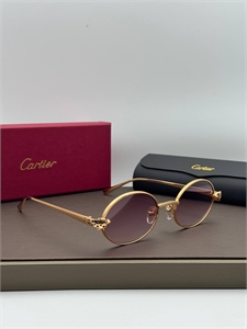 {{productViewItem.photos[photoViewList.activeNavIndex].Alt || productViewItem.photos[photoViewList.activeNavIndex].Description || 'Очки CARTIER'}}