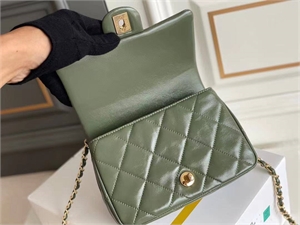 Сумка CHANEL 109074