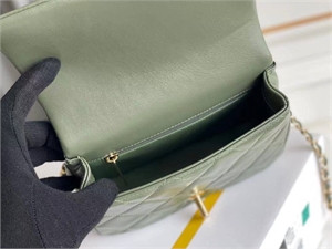 Сумка CHANEL 109074