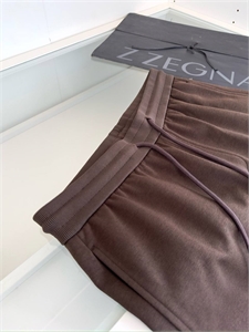 Спортивные брюки zegna 110219 - фото 115378