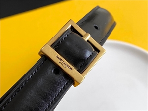 Сумка YSL 113678