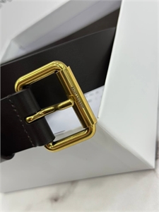 Ремень YSL 114167