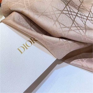 Платок DIOR 114293 - фото 130838