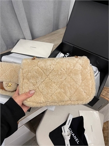 Сумка Chanel 25 см. 116477 - фото 143780