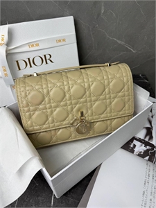 Сумка DIOR 119895 - фото 154936