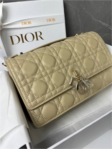 Сумка DIOR 119895 - фото 154937