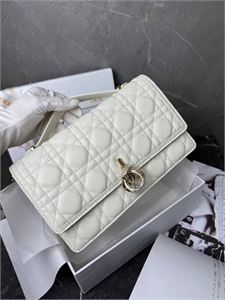 Сумка DIOR 24 см 119758 - фото 155128