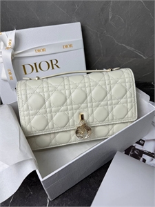 Сумка DIOR 24 см 119758 - фото 155130