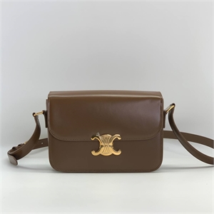 Сумка CELINE Кожа 120338 - фото 157510