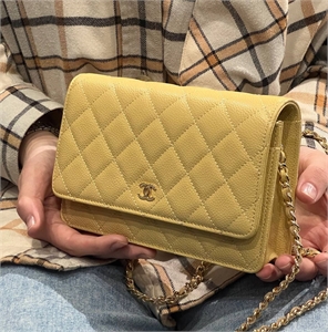 Сумка CHANEL 120360 - фото 157681