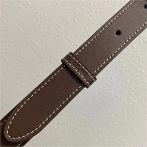 Сумка CELINE 120800 - фото 160717