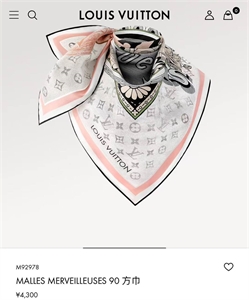 Платок LOUIS VUITTON 121529 - фото 164545