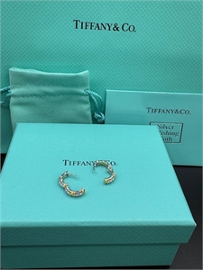 Серьги Tiffany&Co 121594 - фото 164989 Серьги Tiffany&Co 121594 - фото 164989