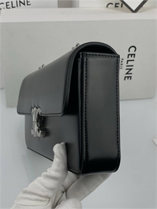 Сумка CELINE 122804 - фото 170996
