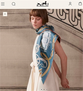 Платок HERMES 125154