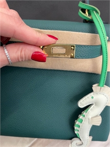 Сумка Hermes Kelly 25см 125272