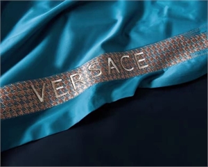 Постельное бельё Versace 126162