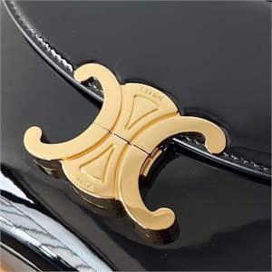 Сумка CELINE 129626 - фото 204846